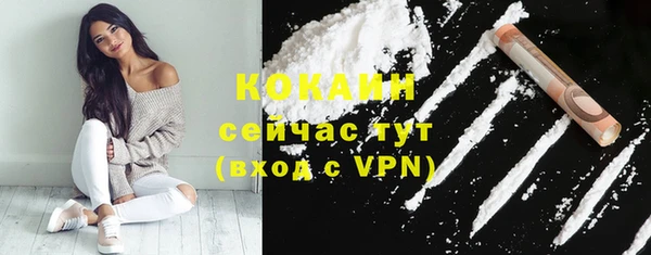 бошки Верея