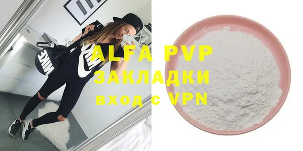 амф Верхний Тагил