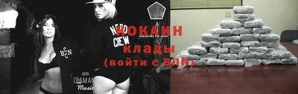 амф Верхний Тагил