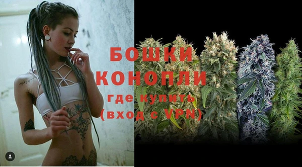бошки Верея