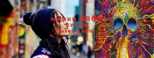 амф Верхний Тагил