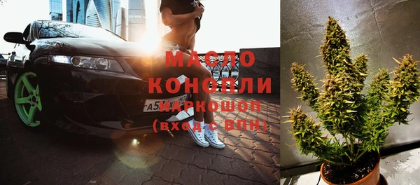 амф Верхний Тагил