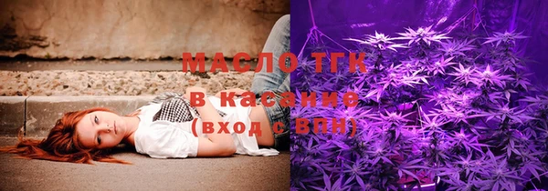 амф Верхний Тагил
